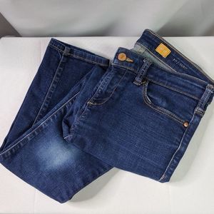 Anthro Pilcro & The Letterpress Queen Bee Jeans 27